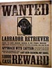Табличка металлическая 30х40см "Labrador Retriever" (арт.206)