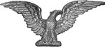 Панно "American Eagle" (арт.126) ― STARINISM.RU